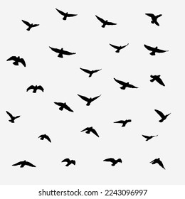 silhouettes of birds on white