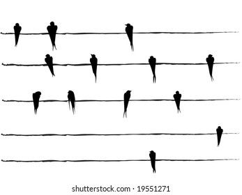 silhouettes of Birds on wires