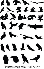 Silhouettes Of Birds Of Prey