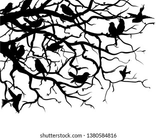 

Silhouettes of birds sitting on tree branches. Wall sticker. Black and white graphic drawing of branches and birds sitting on them. Silhouette of tree branches and birds.