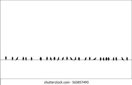 silhouettes of the birds sitting on a wire isolated vector image