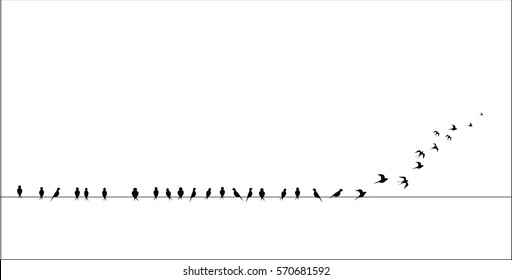 silhouettes of the birds sitting on a wire isolated, flies, vector image