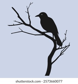 Silhouettes of Birds stands on a tree branch