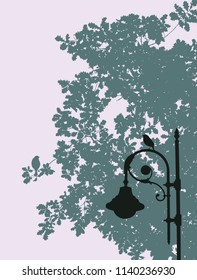 Silhouettes of birds, tree and lantern in the evening summer park