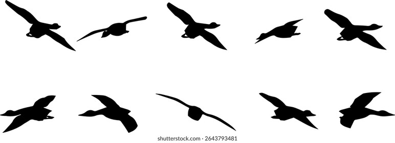 Silhouettes of birds in various flight positions, shown in black on a white background. Perfect for use in design, illustration, or decorative projects requiring flying bird elements.