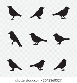 silhouettes of birds vector. bird silhouette vector illustration, perfect for logo design, art projects, and graphic design.