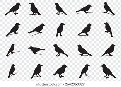 silhouettes of birds vector. bird silhouette vector illustration, perfect for logo design, art projects, and graphic design.