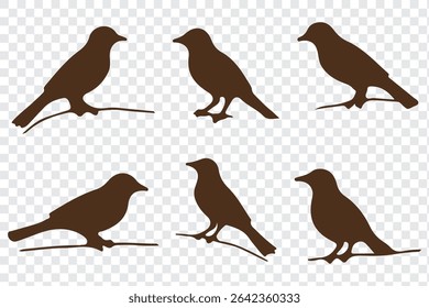silhouettes of birds vector. bird silhouette vector illustration, perfect for logo design, art projects, and graphic design.
