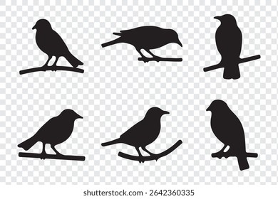 silhouettes of birds vector. bird silhouette vector illustration, perfect for logo design, art projects, and graphic design.