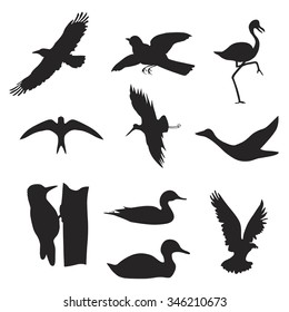 silhouettes of birds vector black icons