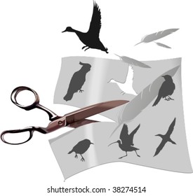 silhouettes of birds, vector illustration