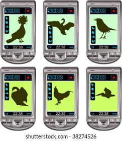 silhouettes of birds, vector illustration
