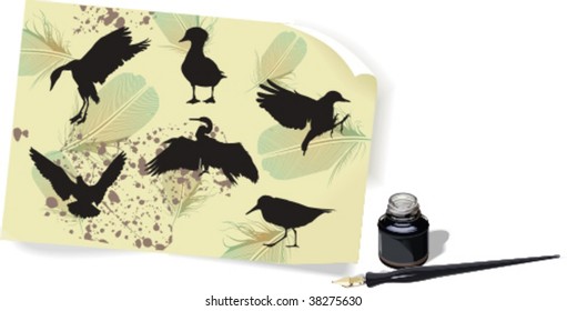 silhouettes of birds, vector illustration