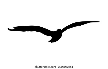 Silhouettes Birds Vector White Background Stock Vector (Royalty Free ...