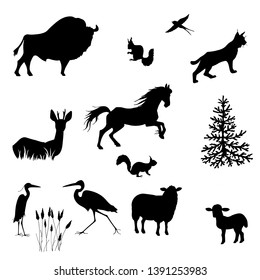 Silhouettes of bison, sheep, lamb, lynx, squirrel, herons, swallows, fallow deer, horse vector on white background