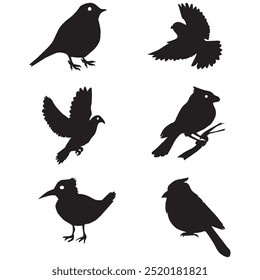 Silhouettes of black bird white background
