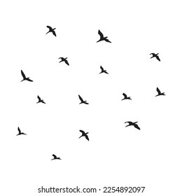silhouettes of black birds in flying flock