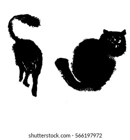 
silhouettes of black cats vector