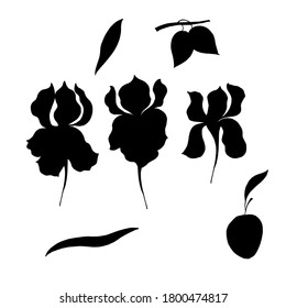 Silhouettes of black irises. Vector illustration.
