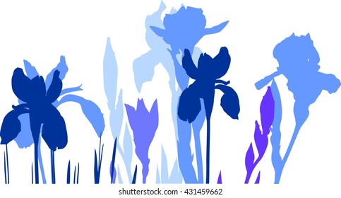 Silhouettes of blue irises