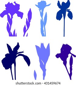 Silhouettes of blue irises