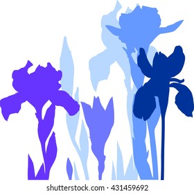 Silhouettes of blue irises