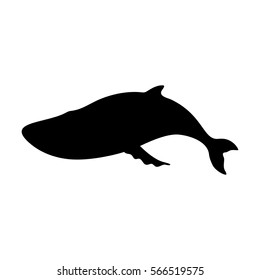 Silhouettes of blue whale, sea animals isolated black and white vector illustration minimal style