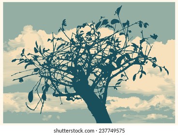 silhouettes of bonsai elm and sky. vector illustration.