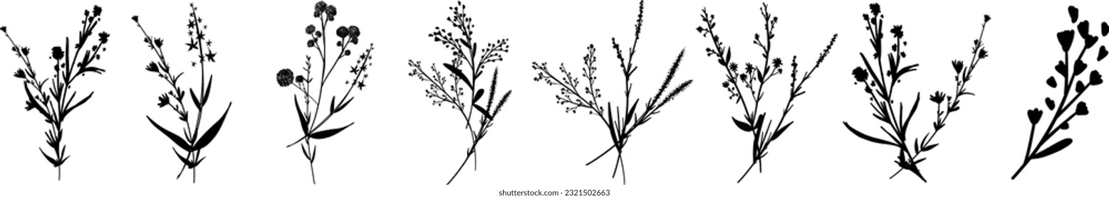 Silhouettes botanic blossom floral elements. Big set branches, leaves, herbs, wild plants, flowers. Garden, meadow, feild collection leaf, foliage. Vector illustration isolated on white background