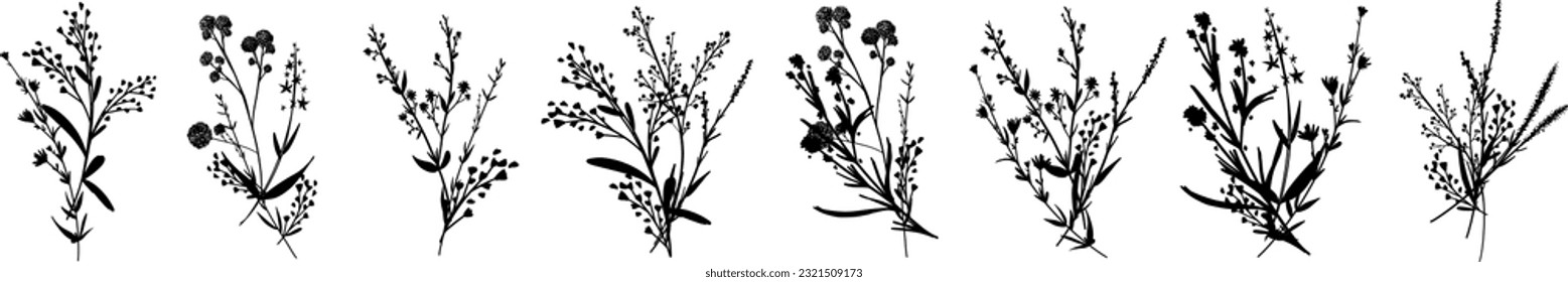 Silhouettes botanic blossom floral elements. Big set branches, leaves, herbs, wild plants, flowers. Garden, meadow, feild collection leaf, foliage. Vector illustration isolated on white background