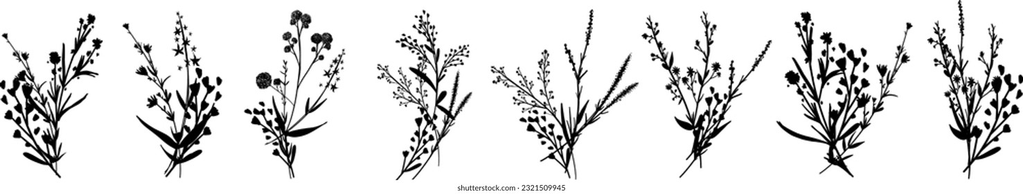Silhouettes botanic blossom floral elements. Big set branches, leaves, herbs, wild plants, flowers. Garden, meadow, feild collection leaf, foliage. Vector illustration isolated on white background