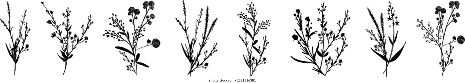 Silhouettes botanic blossom floral elements. Big set branches, leaves, herbs, wild plants, flowers. Garden, meadow, feild collection leaf, foliage. Vector illustration isolated on white background