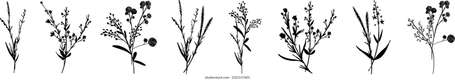 Silhouettes botanic blossom floral elements. Big set branches, leaves, herbs, wild plants, flowers. Garden, meadow, feild collection leaf, foliage. Vector illustration isolated on white background