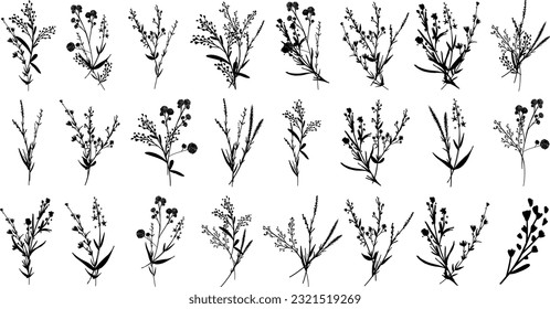Silhouettes botánico floración elementos florales. Grandes ramas, hojas, hierbas, plantas silvestres, flores. Jardín, prado, hoja de colección de campos, follaje. Ilustración del vector aislada en fondo blanco