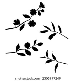 Silhouettes of a branches with an apple or cherry flower with a leaf, a twig with leaves, vector, black color, isolated on a white background