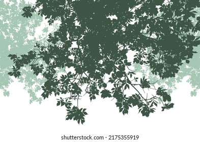 Silhouettes of branches with foliage on a white background. Vector realistic monochrome illustration of an elm tree.