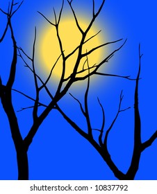 Silhouettes of branches on a background of the blue sky and a shone circle of the moon