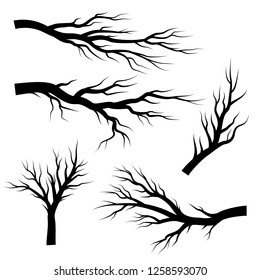 Silhouettes of branches. Vector design elements.