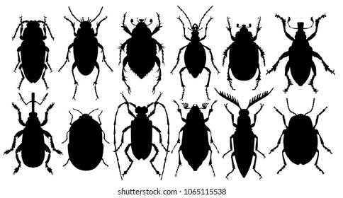 Silhouettes of bugs.