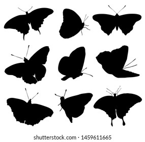 Silhouettes of buttefly isolated on white background. Vector illustration