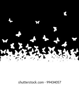 The silhouettes of butterflies