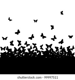 The silhouettes of butterflies.