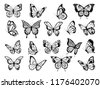 cute butterfly pattern