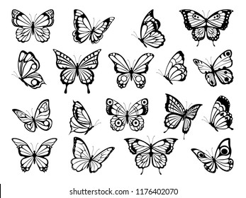 Silhouettes of butterflies. Black pictures of funny butterflies. Insect butterfly black silhouette, winged gorgeous animal, vector illustration