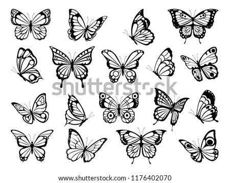 Silhouettes of butterflies. Black pictures of funny butterflies. Insect butterfly black silhouette, winged gorgeous animal, vector illustration