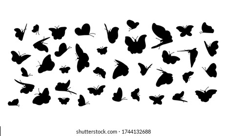 Silhouettes of butterflies flying. Vector design. Blackground.