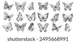 Silhouettes of butterflies. Monochrome Insect butterfly black winged gorgeous insect set isolated vector illustration