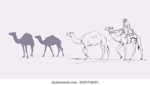 Silhouettes camels animal icon set vector illustration. Isolated on white background.