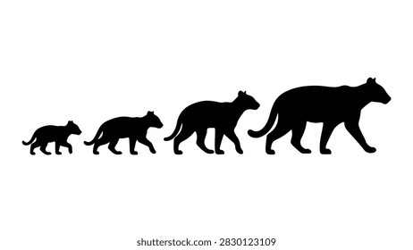 Silhouettes of canine evolution showing size progression from small to large dog breeds