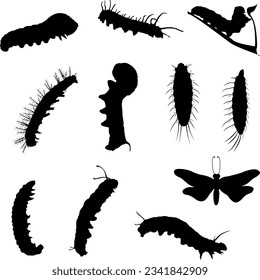 Silhouettes of Caterpillar. Set of  Different Caterpillar with butterfly, vector illustration on White Background.